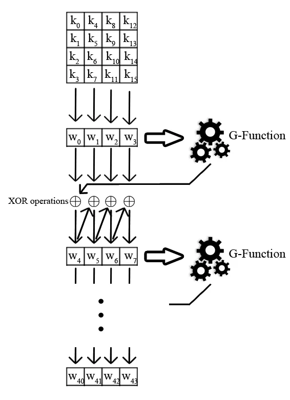 Diagram showing the general algorithms used in the key expansion process in the AES algorithm.