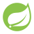 Small icon for Spring Framework category